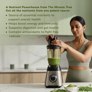 Moringa Leaves Powder